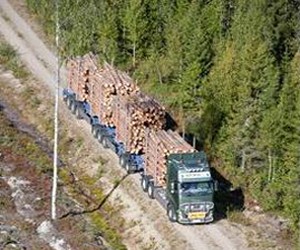 Log-timber-truck