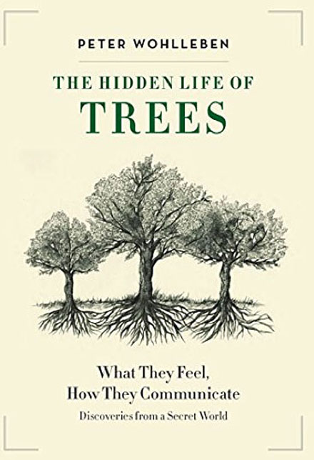 The-Hidden-Life-of-Trees-book-cover-WEB