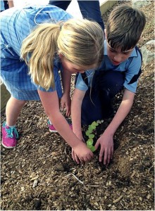 Students from Lindisfarne North Primary were just two of many across Tasmania who participated in National Tree Day. 